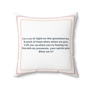 Picasso-esque "The Dream" Square Pillow Featuring a Brainteasing Riddle